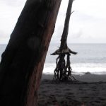 Why meditate? 1 write to coaching@coachkeya.com to begin your meditation practice