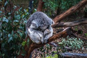 Helping Shouldn't Hurt - Self-Care for Care-Providers 7