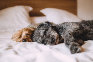 Easier Sleep 10 Begin your journey of easier sleep, starting today