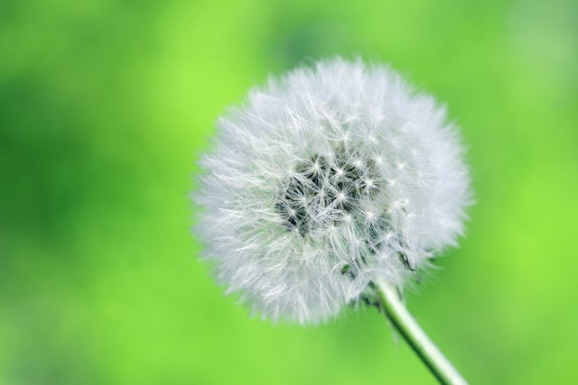 How to Stay Focused and Achieve Your Goals - 5 Prerequisites 4 Wish