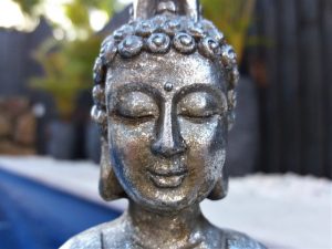 Finding Joy | Transformational Sessions for Life Mastery | Say No to Long and Lonely Wondering 12 The Buddha