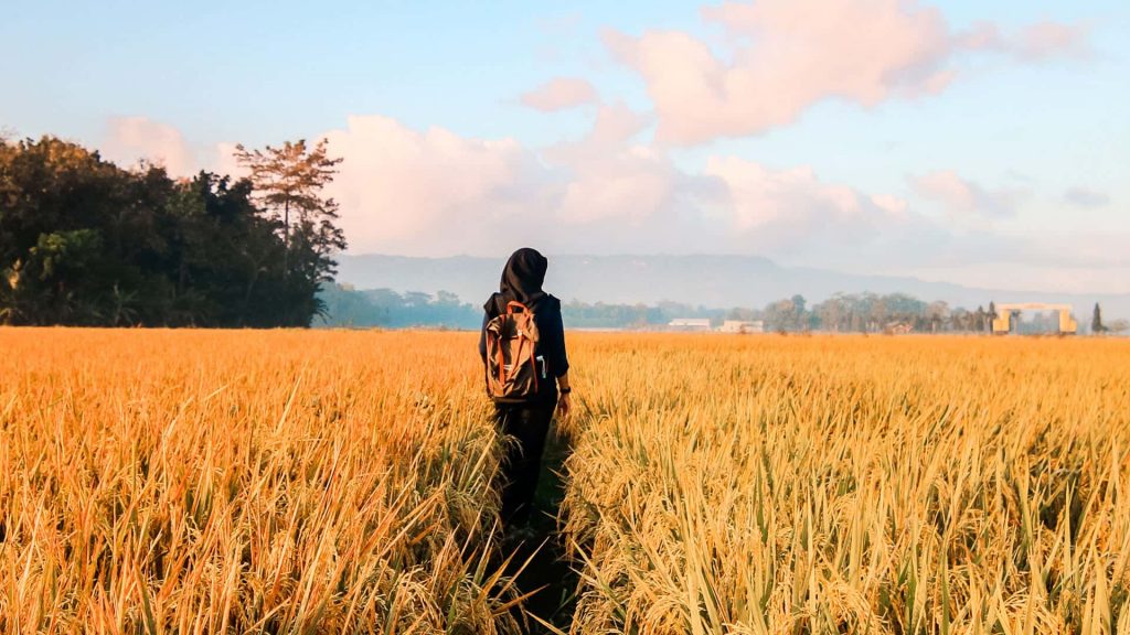 How to be brave when all you want to do is run away