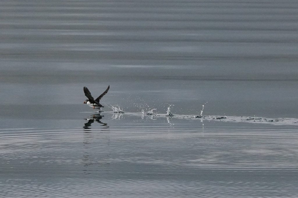 Personal Freedom